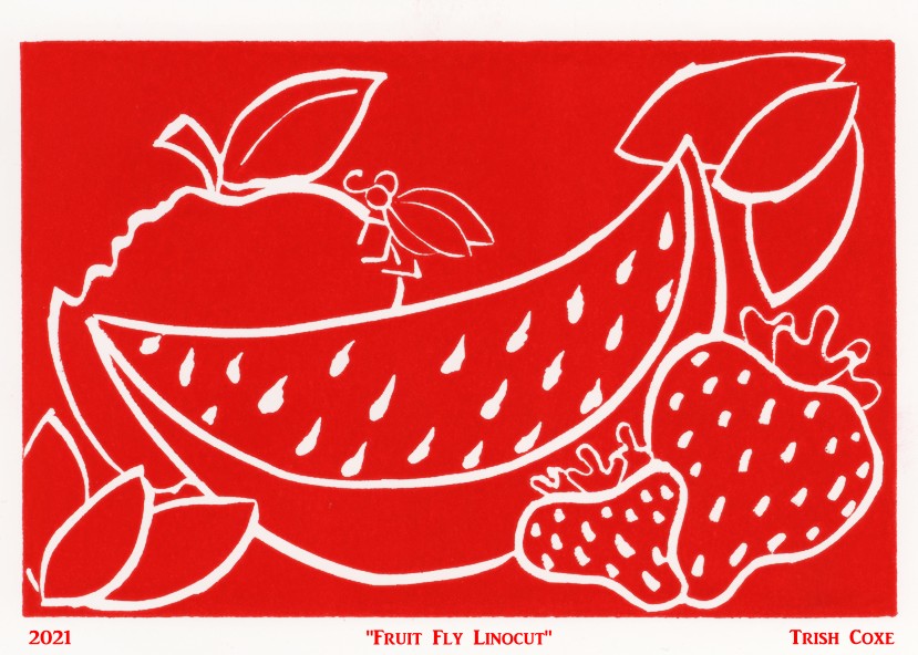 Simplistic red on white linocut print showing a selection of cut fruit including a bitten apple with a large fly